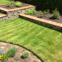 Gazon de Jardin : découvrez les différentes variétés de gazon pour choisir celle qui convient le mieux à votre jardin Dijon